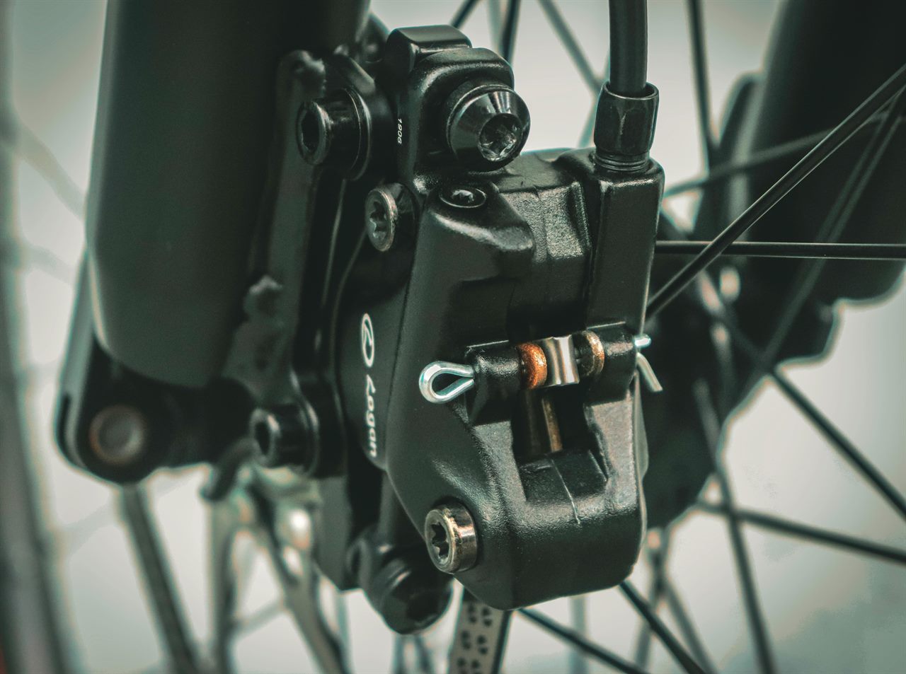 Close-up of a bicycle disc brake for a pre-ride brake check