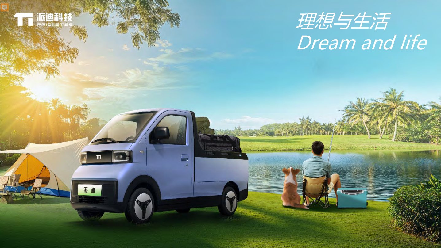 PAIDI MINI-X KT11EV Pickup commercial EV